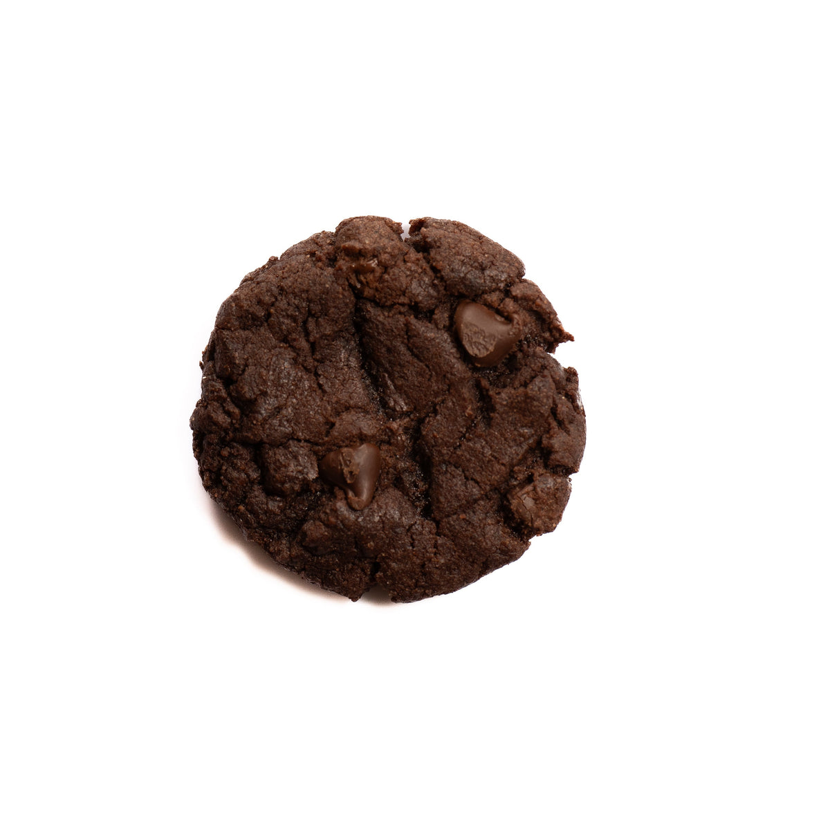 Chocolate Chocolate Chip