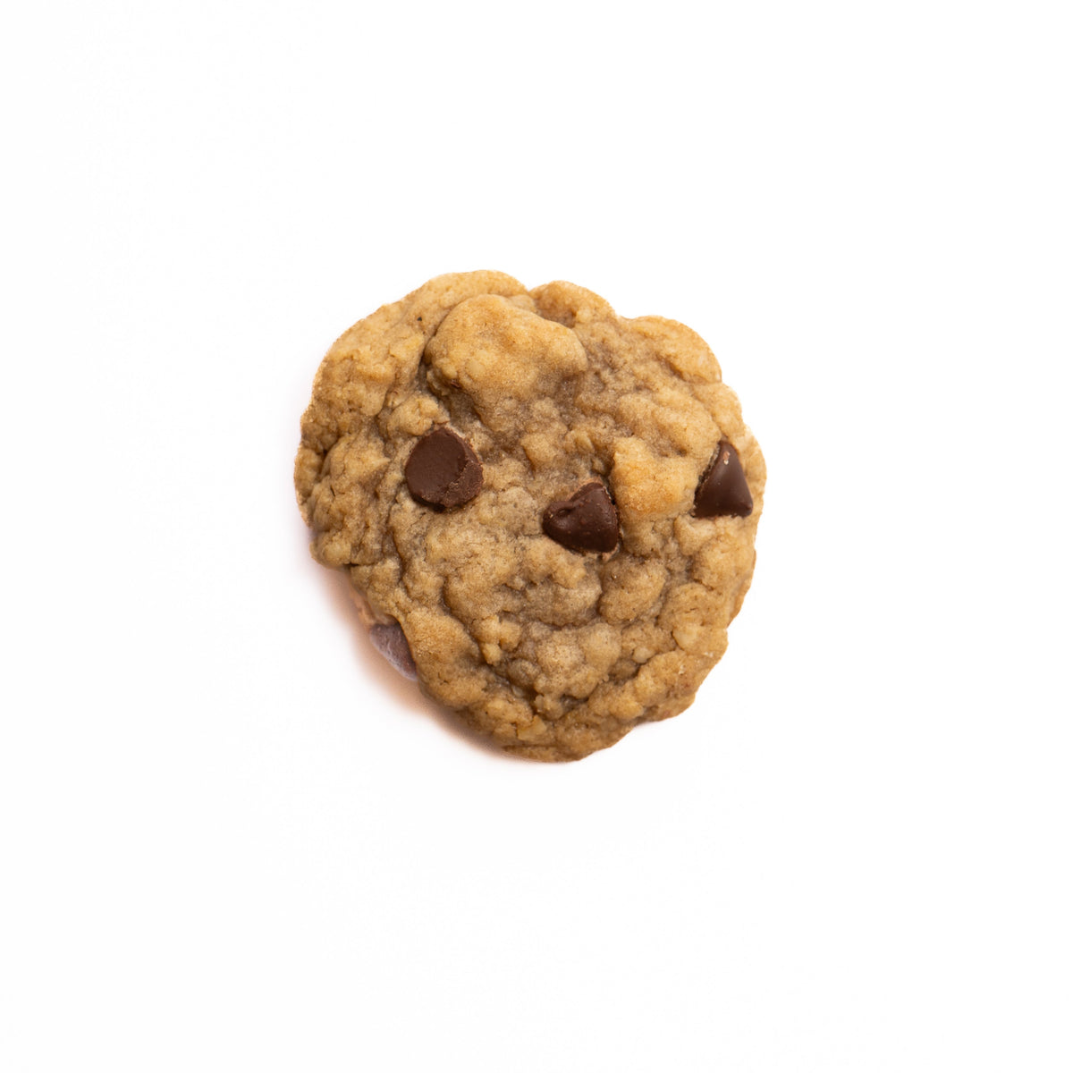 Oatmeal Chocolate Chip